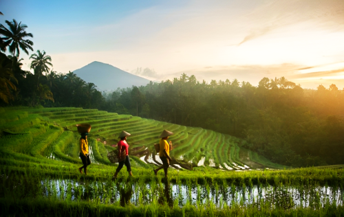 Bali-Indonesia